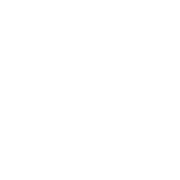 Center for Digital Editing logo